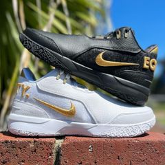 ナイキ ズーム レブロン NXXT GEN AMPD EP 30cm NIKE ZOOM LEBRON NXXT GEN AMPD EP ナイキ ズーム レブロン