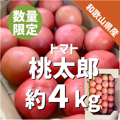 和歌山県産 トマト 桃太郎 約４kg  大玉 秀品 数量限定