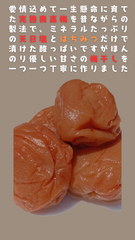 無添加はちみつ梅（約450㌘）と無添加はちみつ梅酢（約400㌘）のセット