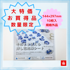 <<大特価・数量限定　規格外品>>　そのまま使える押し花乾燥シート ／144x297mm／10枚入
