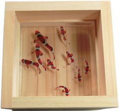 めだか メダカ アート 紅葉 プリザーブドフラワー 金魚 桧 木製