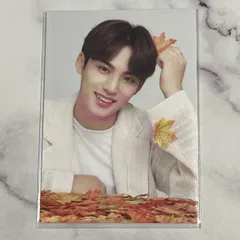 SEVENTEEN ミンギュ　ode to you トレカ