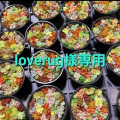 loverug様専用