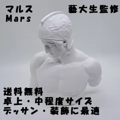 2025年最新】石膏像マルスの人気アイテム - メルカリ 2025年最新】石膏像マルスの人気アイテム - メルカリ