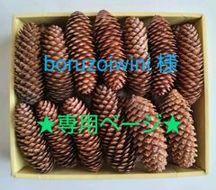 ★boruzoiwini 様 専用ページ★ 松ぼっくり(25個+おまけ付き)  ドイツトウヒ