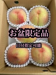 f111 クール便　藤稔2箱+大玉1箱　贈り物 お盆手土産 クール便 山梨県産 ぶどう 種無し 藤稔2房 贈り物 お盆手土産
