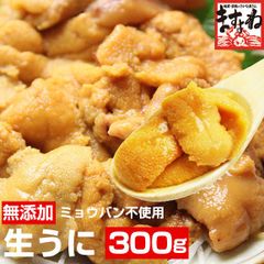 無添加/ミョウバン不使用 生うに 300g (100g×3P) (ブランチング処理) うに ウニ 雲丹 ますよね