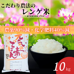 【数量限定】ヒノヒカリ 10kg 白米 れんげ米 6年産 プレミアム米