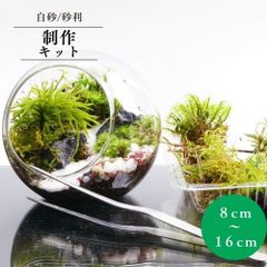 【スターターキット】16cm 白砂 砂利セット 苔テラリウム テラリウム 新生活 入学祝い 歓迎会 送別会 プレゼント コウヤノマンネングサ 自作  作成キット ハンドメイド 手作り ギフト インテリア 観葉植物 おしゃれ 贈り物　苔の風景 8cm