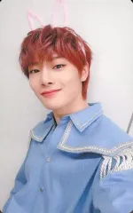 【中古】コレクションカード(男性) Stray Kids/I.N(アイエン)/「Stray Kids 2nd World Tour “MANIAC” ENCORE in JAPAN」さいたまスーパーアリーナ会場限定「THE SOUND」購入特典ランダムソロフォ