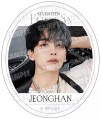 [중고] 식완 스티커 씰 2. [SVT GUMMI From PLEDIS ENTERTAINMENT SEVENTEEN]