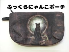 ★幻想的なデザインのふっくらポーチ　黒猫　魔法　両面プリント　送料無料　迅速発送
