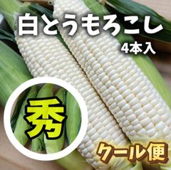 秀品 白とうもろこし 4本 クール便