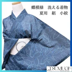 蝶模様　洗える着物　夏用　絽　寒色　小紋　着物　075w p