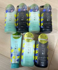 いち髪  カラーケア&ベーストリートメントinセット販売