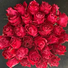 バラ（切り花 ・生花）フルフル　30㎝SMサイズ　30本　産地直送❗️鮮度抜群❗️赤薔薇　花束