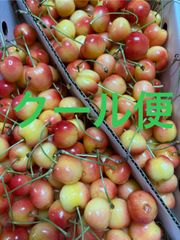 さくらんぼ（紅きらり）Mサイズ 箱込1キロ程度 山形県産