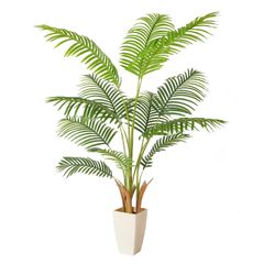 Item thumbnail for item 5752f994-755d-4aef-b5ca-f11f4d7cf29f