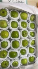 素晴らしい外見 quả มะม่วง Mango 芒果 マンゴー タイ産 空港便 xoài メルカリ - 果物