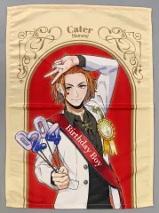 【中古】タオル・手ぬぐい ケイト・ダイヤモンド マルチクロス 「セガラッキーくじオンライン ディズニー ツイステッドワンダーランド -ハッピーバースデー- vol.1」 A-4賞