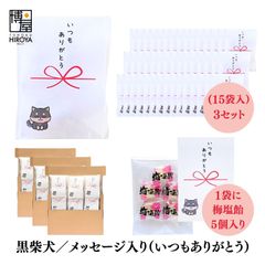 博屋 大量 退職 お礼 個包装 お返し 柴犬「 プチギフト いつもありがとう 」梅塩飴５個入 x 45パック  挨拶回り 粗品 