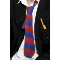 ネクタイ　赤と青　学生風　大人男性用　School Tie　コスプレ