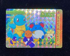 ポケットモンスターアニメコレクション　カードダス　233.ライチュウ&ピカチュウ