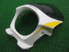 アップルティー様 専用ページ アライMXスピリッツカスタムバイザー