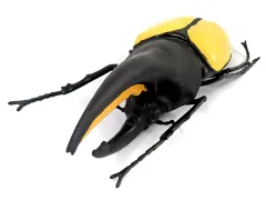 【中古】フィギュア ヘラクレスオオカブト 昆虫BIGフィギュア