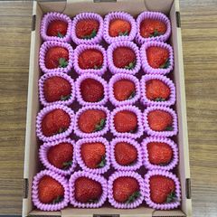 ニコてん様専用2箱分でっかちゃんいちご 化粧箱入 今だけ期間 ニコてん様専用2箱分でっかちゃんいちご 化粧箱入 今だけ期間
