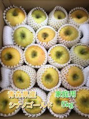 青森県産りんご「シナノゴールド」家庭用 キズ有 約5kg【フルーツキャップ】