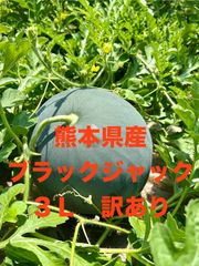 【産地直送・種なしスイカ・訳あり・即日発送可】熊本県産大玉すいか　ブラックジャック３L　訳あり品　優品　種なしスイカ　希少品種　瑞々しいすいか　自宅用