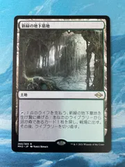マジック：ザ・ギャザリング - 新緑の地下墓地　英語版 旧枠仕様)新緑の地下墓地/Verdant Catacombs《英語》【MH2】