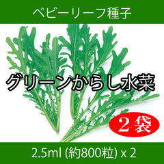 ベビーリーフ種子 B-21 グリーンからし水菜 2.5ml 約800粒 x 2袋