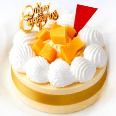 犬用ケーキ どさんこ 豆乳 カボチャ クリスマス ケーキ 犬 おやつ 北海道産素材使用 クリスマスケーキ