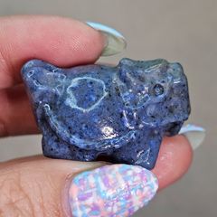 超激レア✨デュモルチェライト ✨ロングイ✨龍亀✨カービング