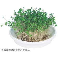 【新品・7営業日以内発送】アーテック ArTec 102969 水耕栽培ユニット ブロッコリースプラウト【沖縄離島販売不可】のサムネイル