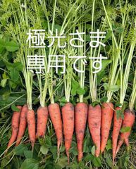 極光さま専用☆期間中農薬不使用☆お野菜✧︎玉手箱✧︎ - 温故知新