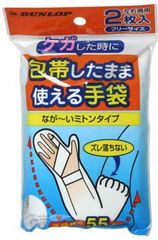 Item thumbnail for item 85a13910-10d1-4720-aa8a-0d6f749b7a43