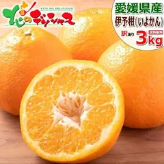 2025年最新】いよかんの人気アイテム - メルカリ