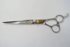 2025年最新】セニング サクシードの人気アイテム - メルカリ