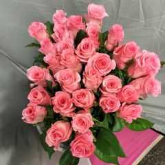 バラ  シュガープラム 40センチ３０本切り花生花