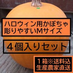 ハロウィン ジャックオーランタン用かぼちゃ ４個１箱 Ｍサイズ2kg台 カボチャ専門農家農場直送