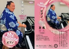 貴重　十九代　式守伊之助　掛軸 2025年最新】Yahoo!オークション -式守伊之助の中古品・新品・未