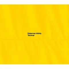 CD / DOBERMAN INFINITY / TERMINAL (CD+2DVD) (初回限定盤)