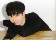 【中古】クリアファイル(男性アイドル) ホシ A4クリアファイル 「2017 SEVENTEEN 1ST WORLD TOUR ’DIAMOND EDGE’ in JAPAN」