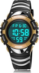 Item thumbnail for item 05df6040-7008-4100-bb1e-6af0e1ccde31