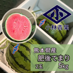 【数量限定品】熊本県産　肥後てまり　5kg（2玉） 西瓜　スイカ　すいか　ひごてまり