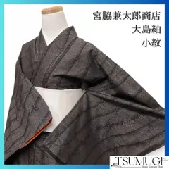 2025年最新】大島紬 訪問着の人気アイテム - メルカリ 