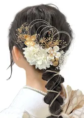 卒業式 結婚式 成人式 浴衣 袴 着物 七五三 和装 和服 振袖 水引 お祭り ドライフラワー 花 ヘアーアレンジ ヘアアクセサリー セット ポニーテール 髪飾り 髪飾り 人気 [JZOON]